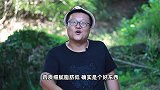 四川名菜“棒棒鸡”敲出来的美食，鸡肉嫩滑不散有技巧，真解馋