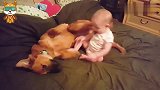萌娃一直缠着狗狗，不料下一秒狗狗的举动，宝宝和妈妈都傻眼了