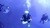 95岁探索海底世界！白发爷爷创最年长潜水者世界纪录