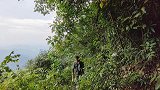 山里野葡萄成熟了，听说酿葡萄酒特别好，大叔不一会就摘了很多
