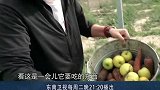 这谁不馋！看了动物救助中心的菜单，网友我也要被救助！