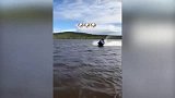 马竞大魔王心情好到爆！浪里白条同狗冲浪