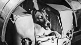 在1957年，加加林就有一位“前辈”被送上了外太空，它就是一位名叫莱卡的小狗。兰州老街老地方见  兰州老街