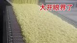 方便面流水线，大开眼界了