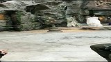 拍电影最辛苦的，永远是替身演员，这一下隔着屏幕都疼