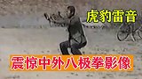 虎豹雷音！以凶悍著称的八极拳，全程狮虎咆哮的感觉
