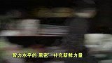 哔哔剧有趣66-20160623-男神陈学冬变身特工！惨遭颖儿过肩摔？
