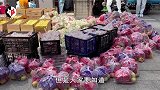 团菜团到一条蛇，蛇头竖起嘶嘶响，我们应该怎么自救？