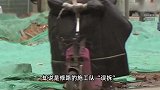老两口上海务工，家中老宅突然被拆夷为平地，镇政府,施工方误拆