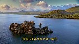 新疆30万只老鼠集体跳崖自杀，专家给出的说法，让人不寒而栗！