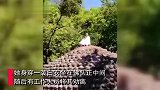 四川一女子一袭白衣爬上乐山大佛头顶打坐，民警已将其劝离