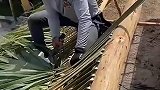 用树叶盖房子，涨见识了