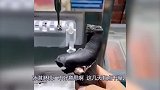 爆笑：城里人打保龄球的最新技能，一看就知道是练过的！