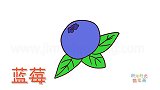 水果简笔画大全，画蓝莓简笔画