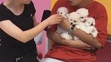 这话咋听起来那么别扭