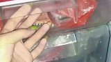 女子找了一天的手机，发现竟在冰箱降温