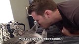 猫咪和主人坐车去玩，刚跑开一会儿，回头见主人抱别的猫，瞬间火