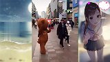 笨熊，走路就不能好好看路嘛，偏要去看美女