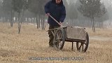 农民挖地窖挖出千年古墓，墙壁上刻着12个字，防盗效果很明显！