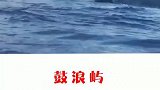 趁微风正好，阳谷不燥带上你的闺蜜去吧闺蜜