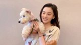 宋祖儿为黄渤庆祝生日 在线表演“鲤鱼打挺”超卖力