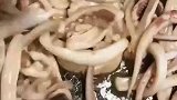 今天教大家鱿鱼的美味做法