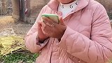 农村搞笑段子我这丈母娘也不过如此