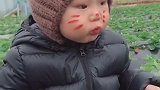 熊孩子拔了这几天草了，也学会偷懒了，偷偷摘了一颗草莓犒赏自