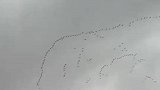 群雁飞向天空，惊叹天气不好吧