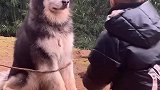 哥哥没有白疼你，懂得安慰哥哥了