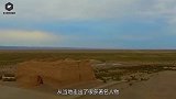 甘肃出现“怪物”，样貌像羊却有大象鼻，能净化加湿空气