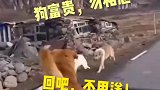 大哥进城打拼，一众兄弟相送，狗富贵，勿相忘