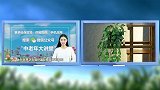 关系到一家人的健康，除甲醛别再用绿植了，用这两种方法最好