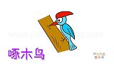 动物简笔画大全，画啄木鸟吃虫子简笔画