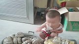 菜包熟了，首先让爷爷品尝，这家风真好！