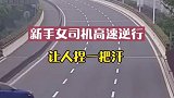 新手女司机高速逆行，对面司机：整个人都不好了！