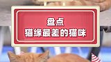 盘点人缘最差的猫咪