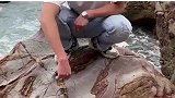 男子海边洞口，发现奇怪石头