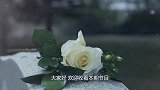 人死亡后，尸体中的血液会发生怎么样的变化？说出来你都不敢看