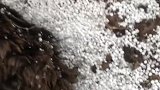 这也许就是虎子对我不离不弃的原因！这是阿里大北环线的一个视频