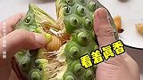 买了一堆莲子，怎么每个莲子里都有虫啊，这还能吃吗？