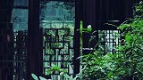 东轩紫烟暖，西窗翠色寒；养心三百卷，怡情五十弦