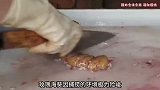 这不是一碗普通的鱼汤，喝上一碗，足以让你一天白干！