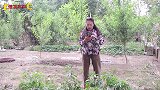 爆笑喜剧：两个二货和吹牛大王的对话，谁更胜一筹，过程太搞笑了