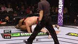 UFC-17年-格斗之夜110自由格斗：刘易斯vs波特斯-专题