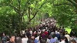 国庆假期前7天，全国共接待国内游客6.18亿人次，实现旅游收入4543.3亿元。这个假期，你去哪儿玩了？