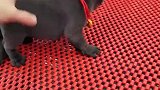 请撒开你的手