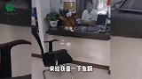爆笑：自从搬家后，蒸桑拿的钱都省了！