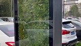 被封闭的小草都能珍惜生命，你还有什么借口活不下来了