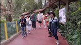 【PP体育在现场】孙悦翟晓川携女儿逛动物园 场面十分温馨